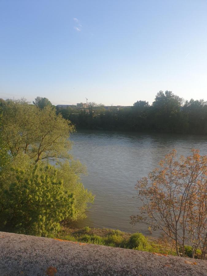 Appart Cosy Sur Berges De Garonne Pour Vacances & Affaires Toulouse Exterior foto